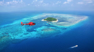 Reef Helicopter Tours